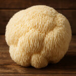 Lion's Mane kaufen