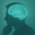 Hericium kognitive Lestungsfähigkeit