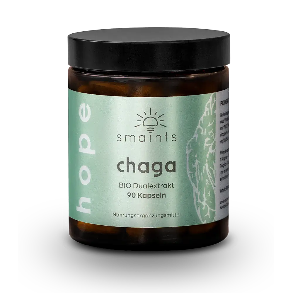 Chaga Extrakt Smaints