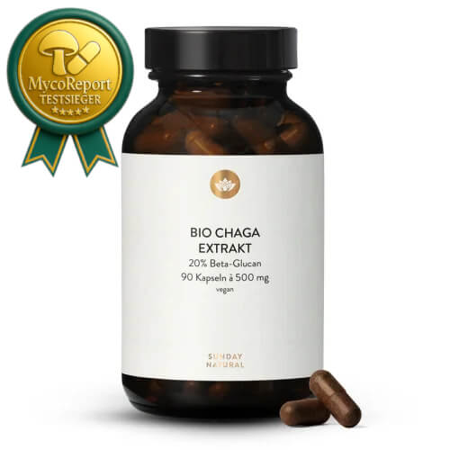 Chaga Extrakt Testsieger Sunday Natural